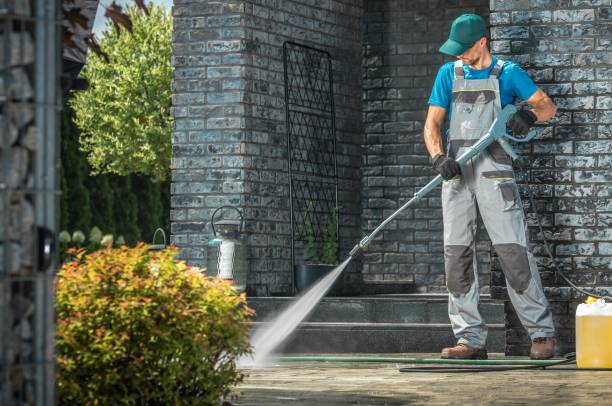 Best Gutter Cleaning  in Warrensville Heights, OH